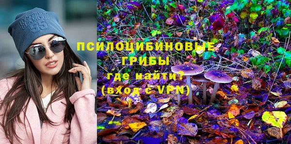 амф Алексин
