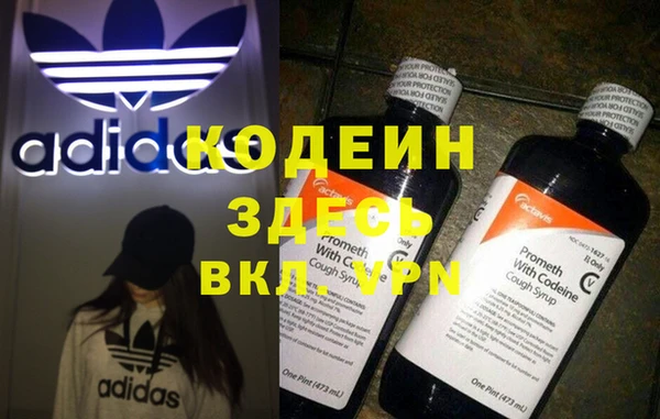 амф Алексин