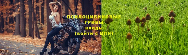 а пвп мука Алексеевка