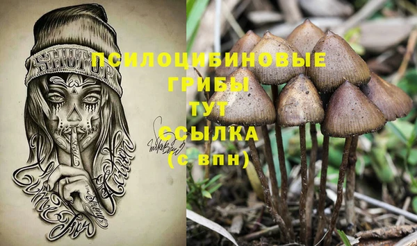 амф Алексин