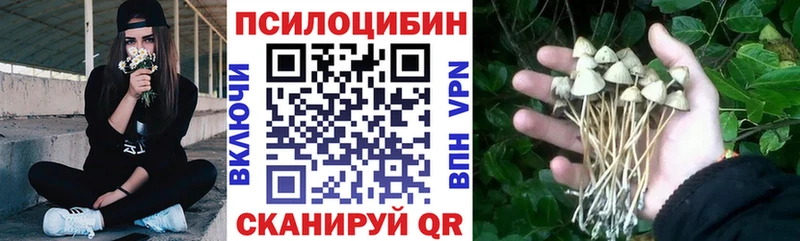 Псилоцибиновые грибы мицелий  гидра ссылка  Асино  купить закладку 