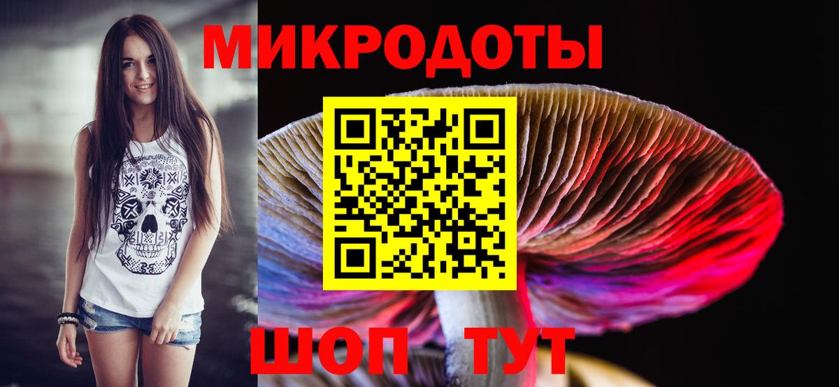 Галлюциногенные грибы прущие грибы  Асино 