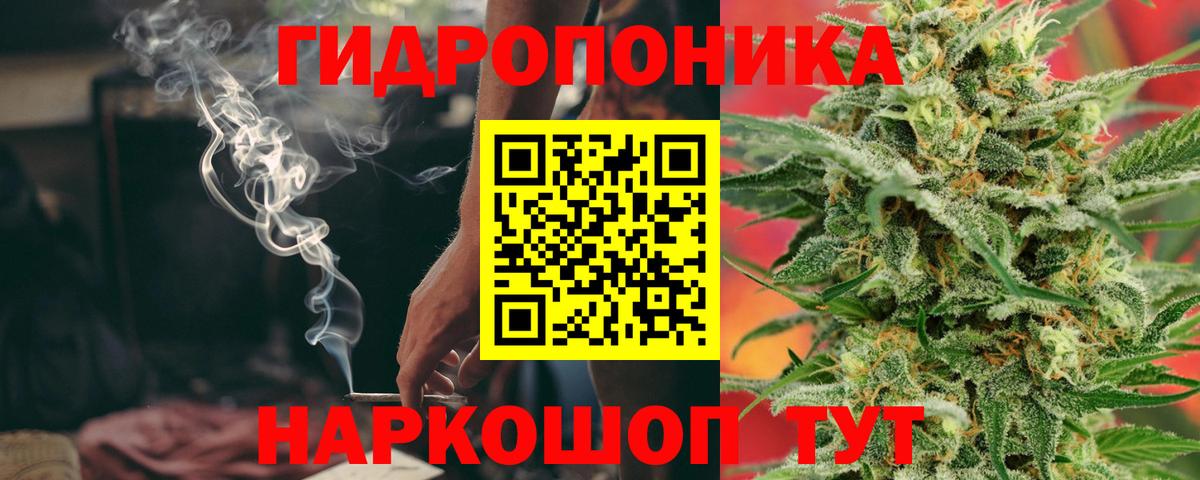 Шишки марихуана AK-47 Асино
